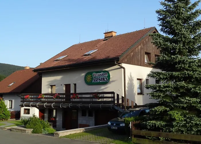 Arnika 3*