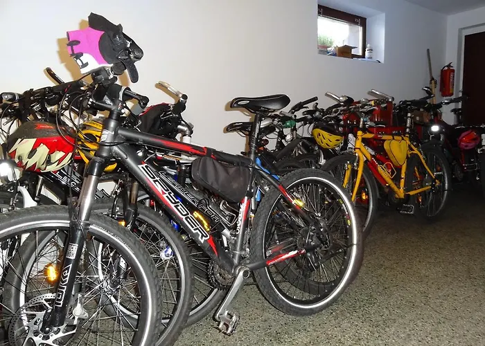 Arnika 德尔内夫奥里克