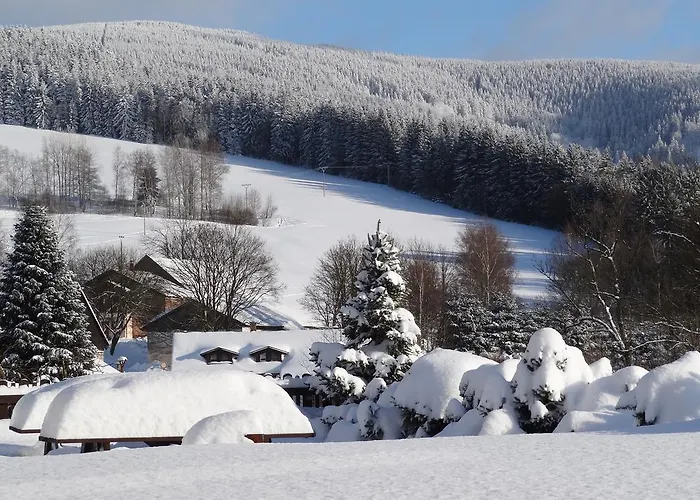 ゲストハウス Arnika デシュトネー・フ・オルリツキーフ・ホラーフ